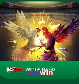 vndwin