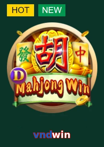 vndwin