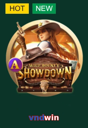 vndwin