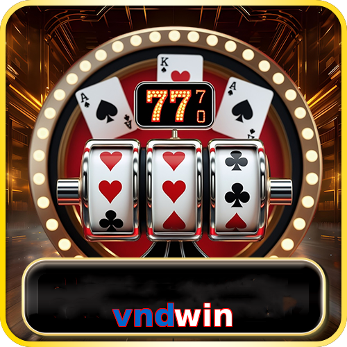 vndwin